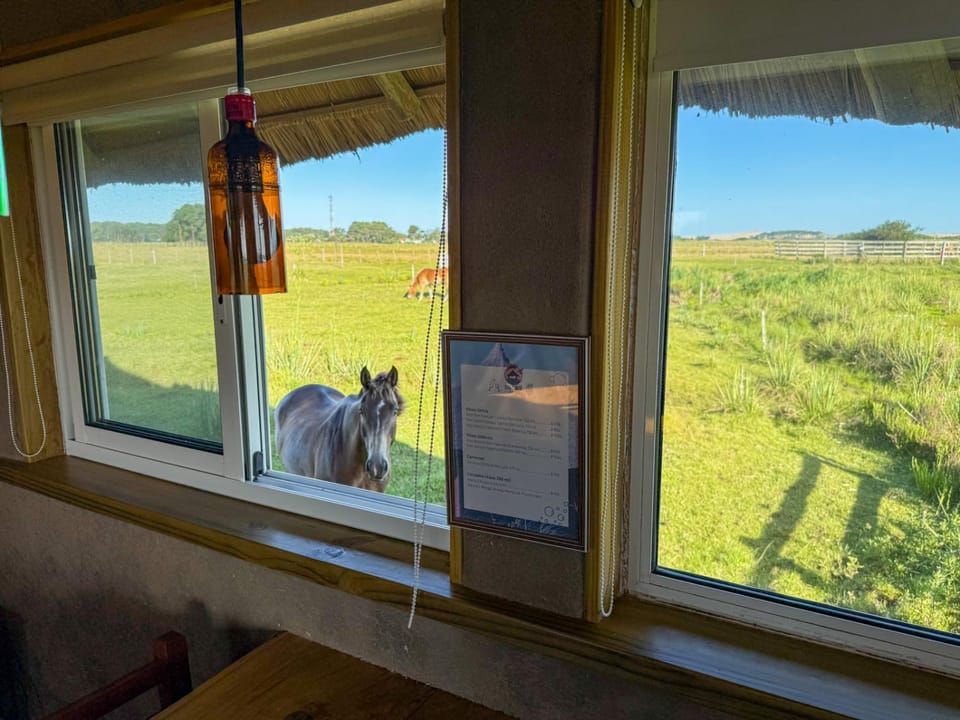 Horse-riding, View (from property/room)