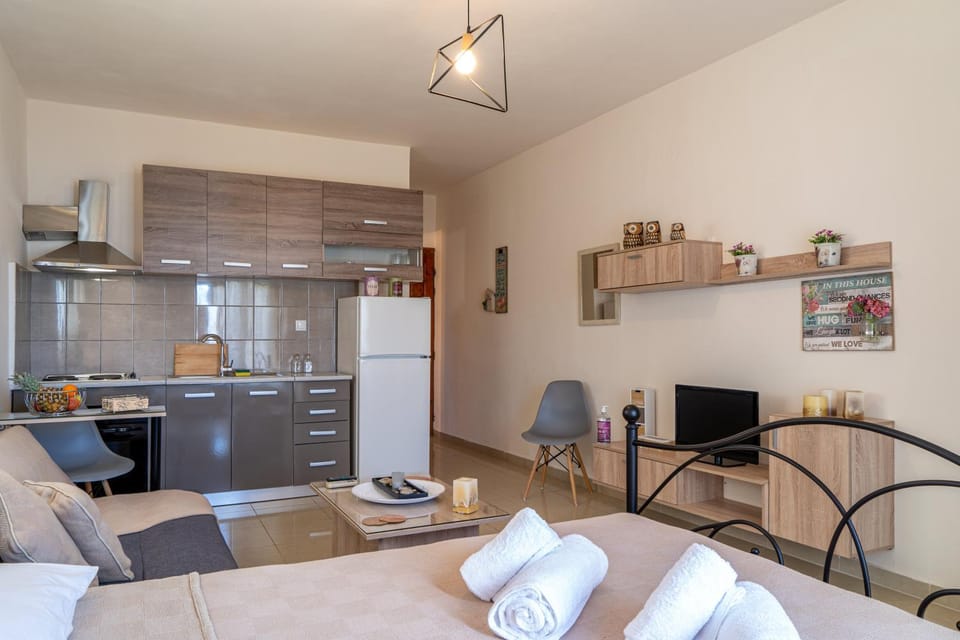 Bed, TV and multimedia, Kitchen or kitchenette, Living room, Photo of the whole room, Seating area, Dining area, pet friendly, stove