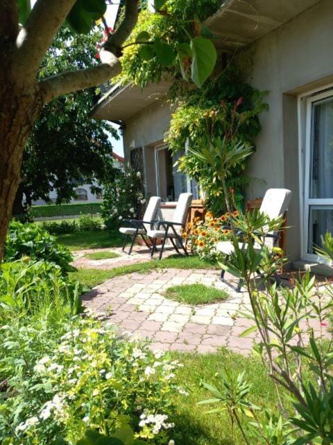 Day, Garden, Garden view, sunbed