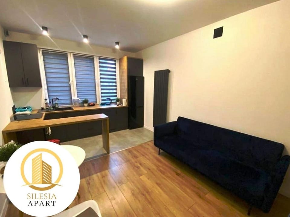 Living room, kitchen