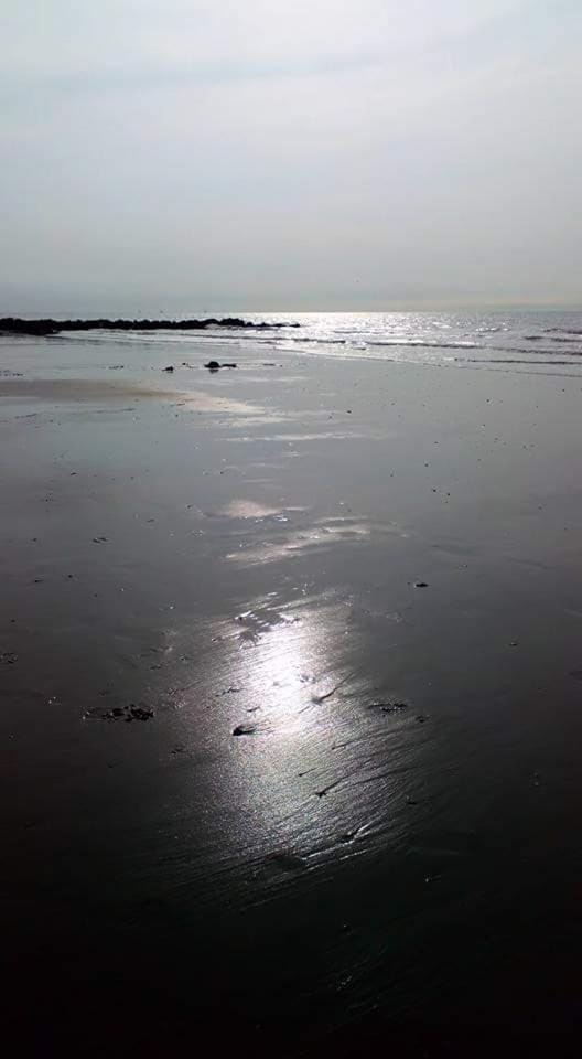 Stacaravan 4pers in Bredene met eigen tuintje 2449 House in Bredene