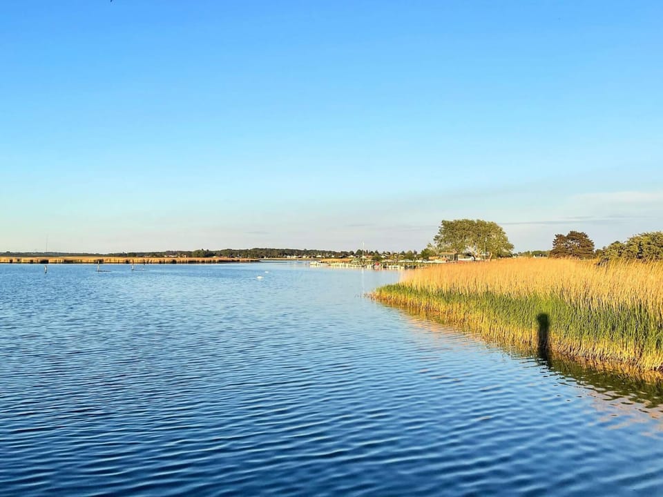 Lake view