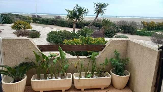 Port Leucate F2 rdc plage 10 mètres, 25 m2, 5 personnes Apartment in Leucate