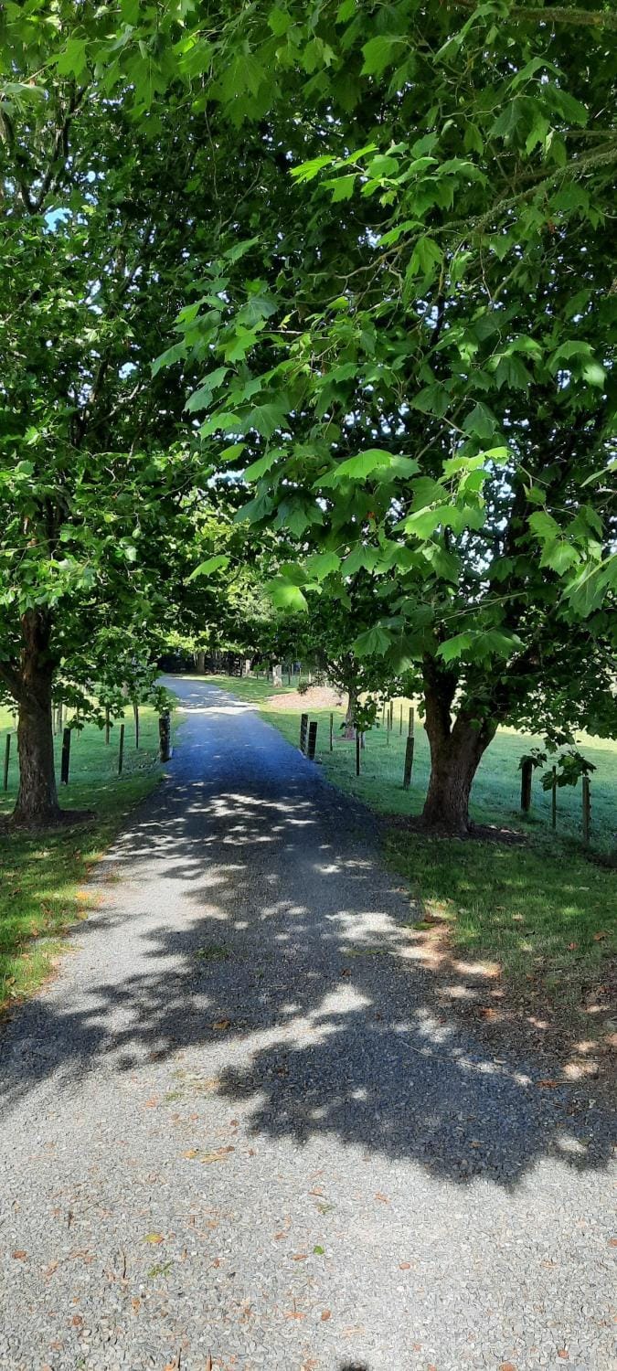 Property building, Garden