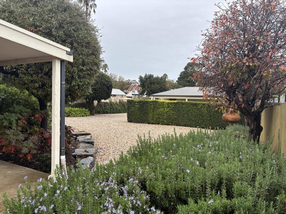 Winter, Garden