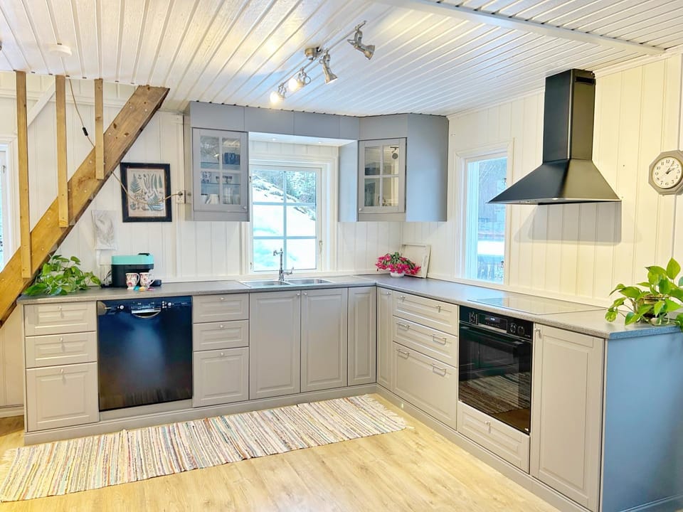 pet friendly, stove