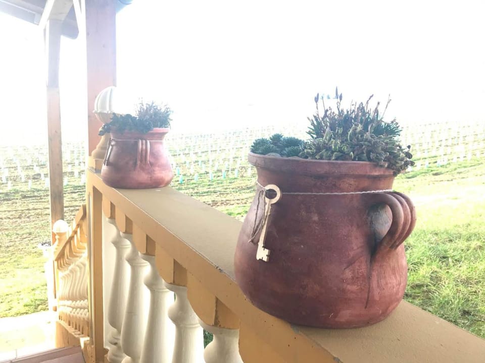 Natural landscape, View (from property/room), Balcony/Terrace