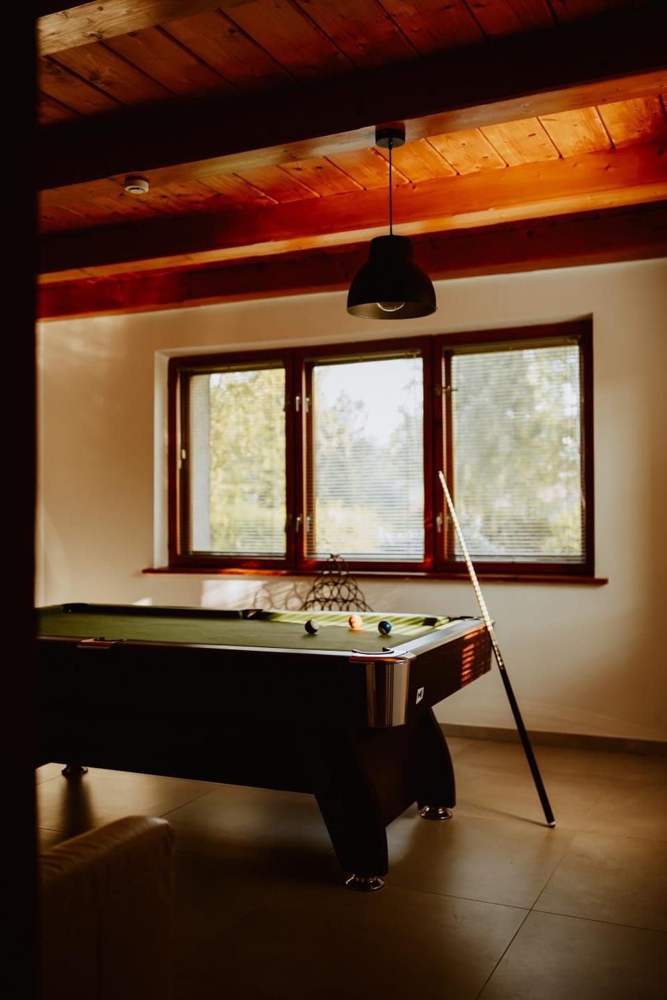 Billiard, Game Room