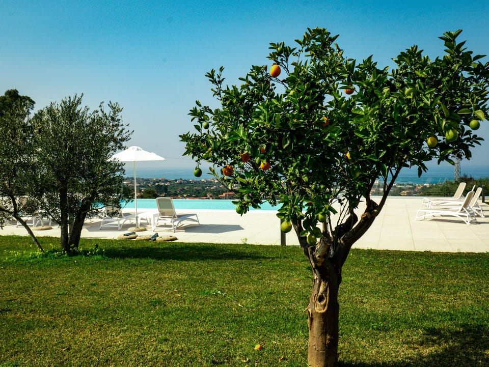 Garden, Swimming pool