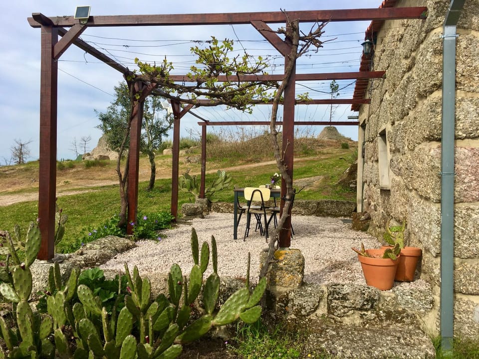 Patio, Spring