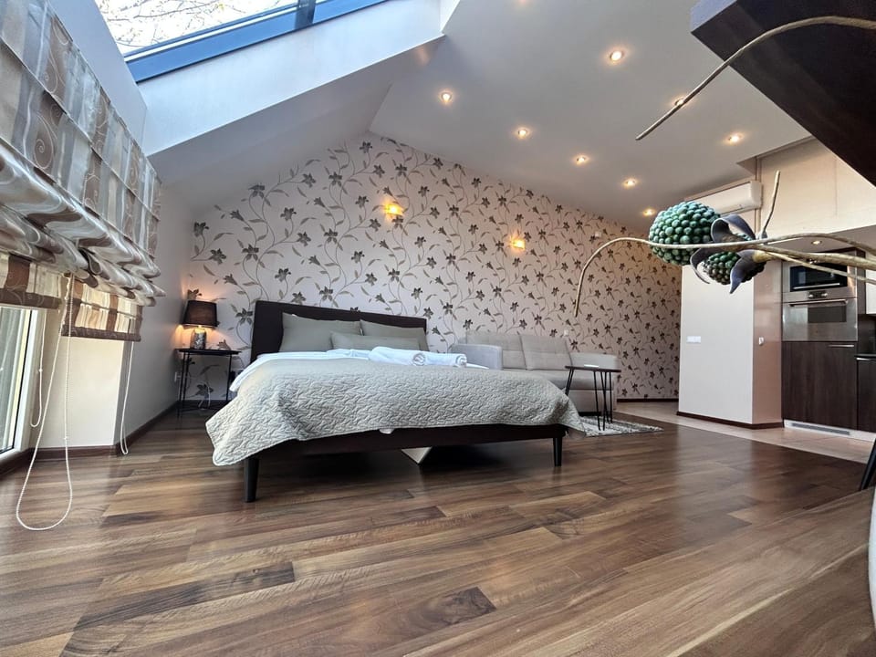 City center , studio apartment , 5 min to the sea Apartment in Palanga