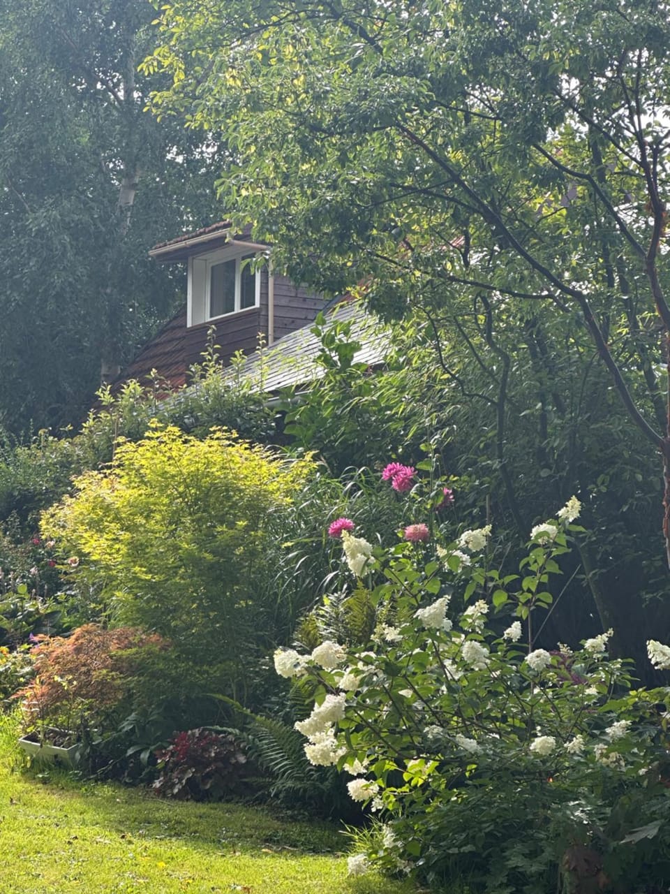 Garden view