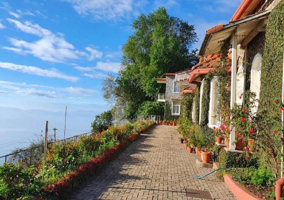 Property building, Garden