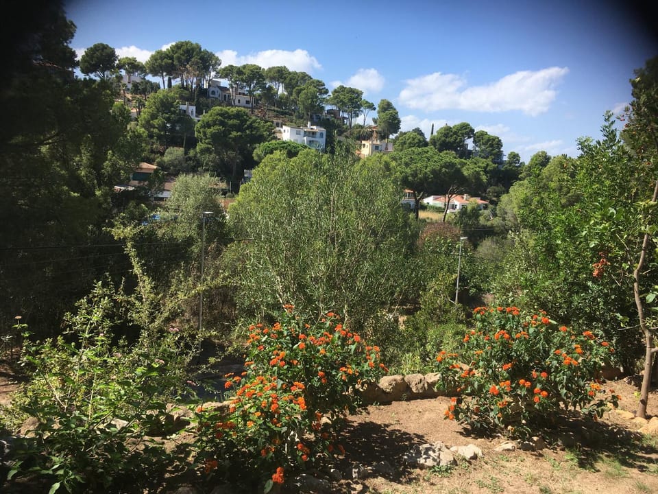 View (from property/room), Garden view