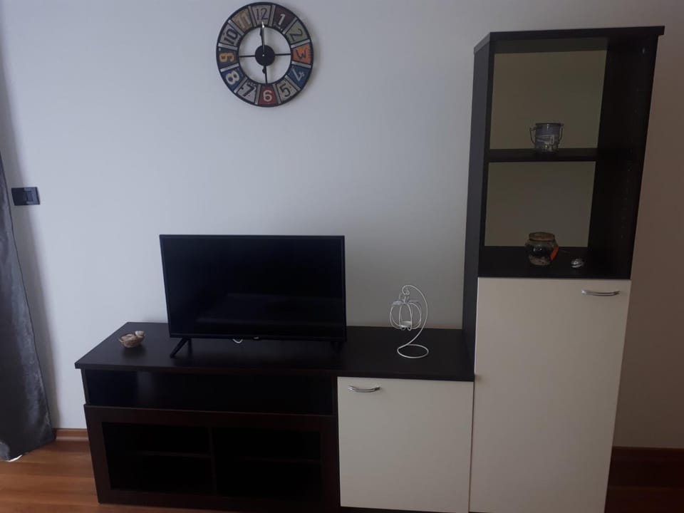 TV and multimedia