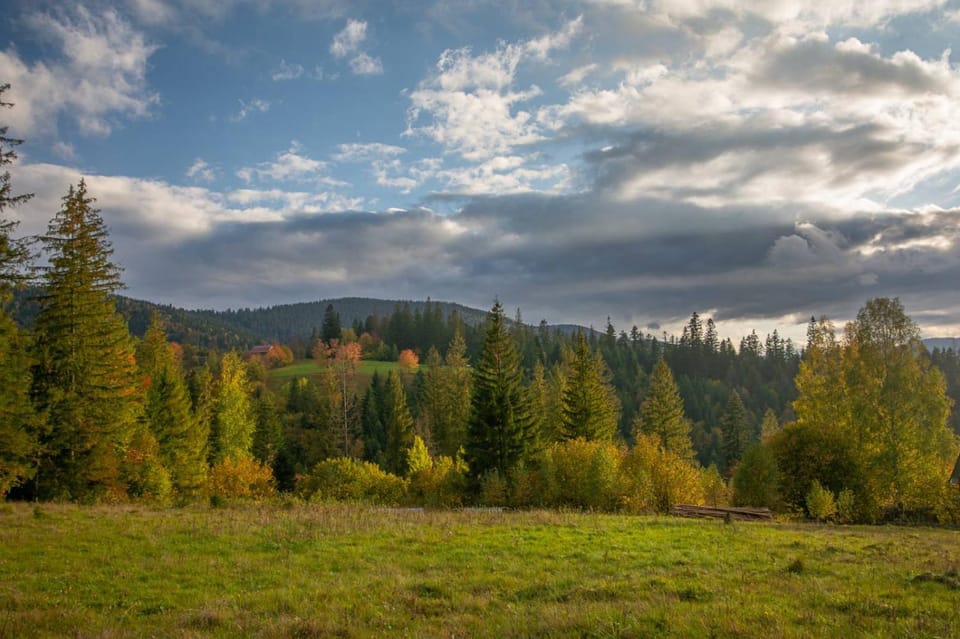 Mountain view