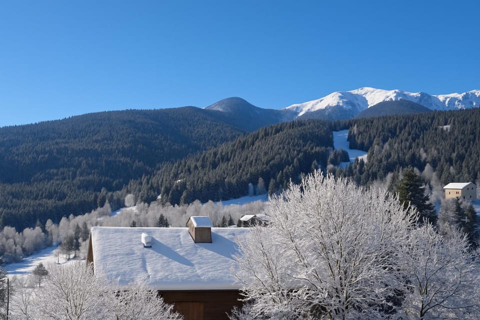 Ski School, Skiing, Mountain view, Seasons