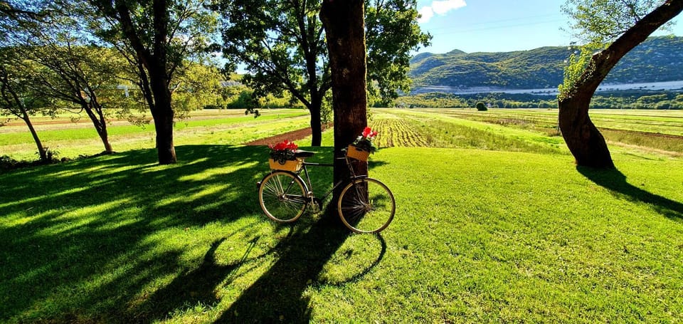 Day, Natural landscape, Garden, Cycling, Garden view, Mountain view