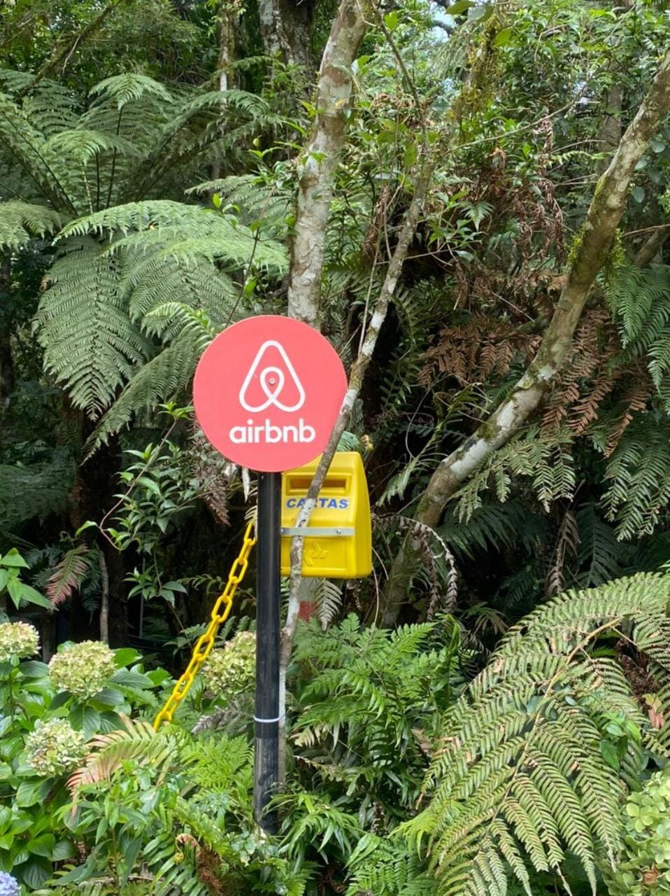 Logo/Certificate/Sign