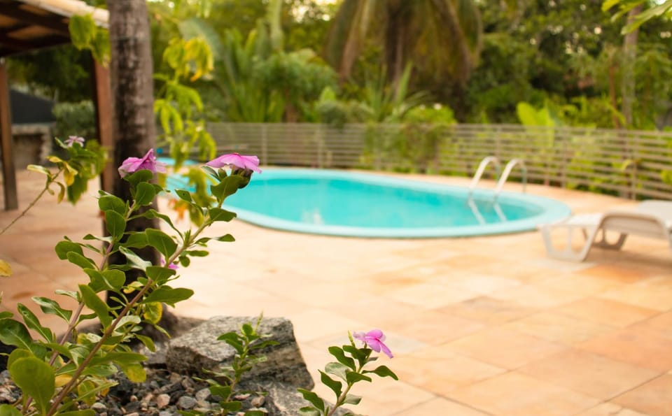 Garden, Spa and wellness centre/facilities, Swimming pool, Swimming pool