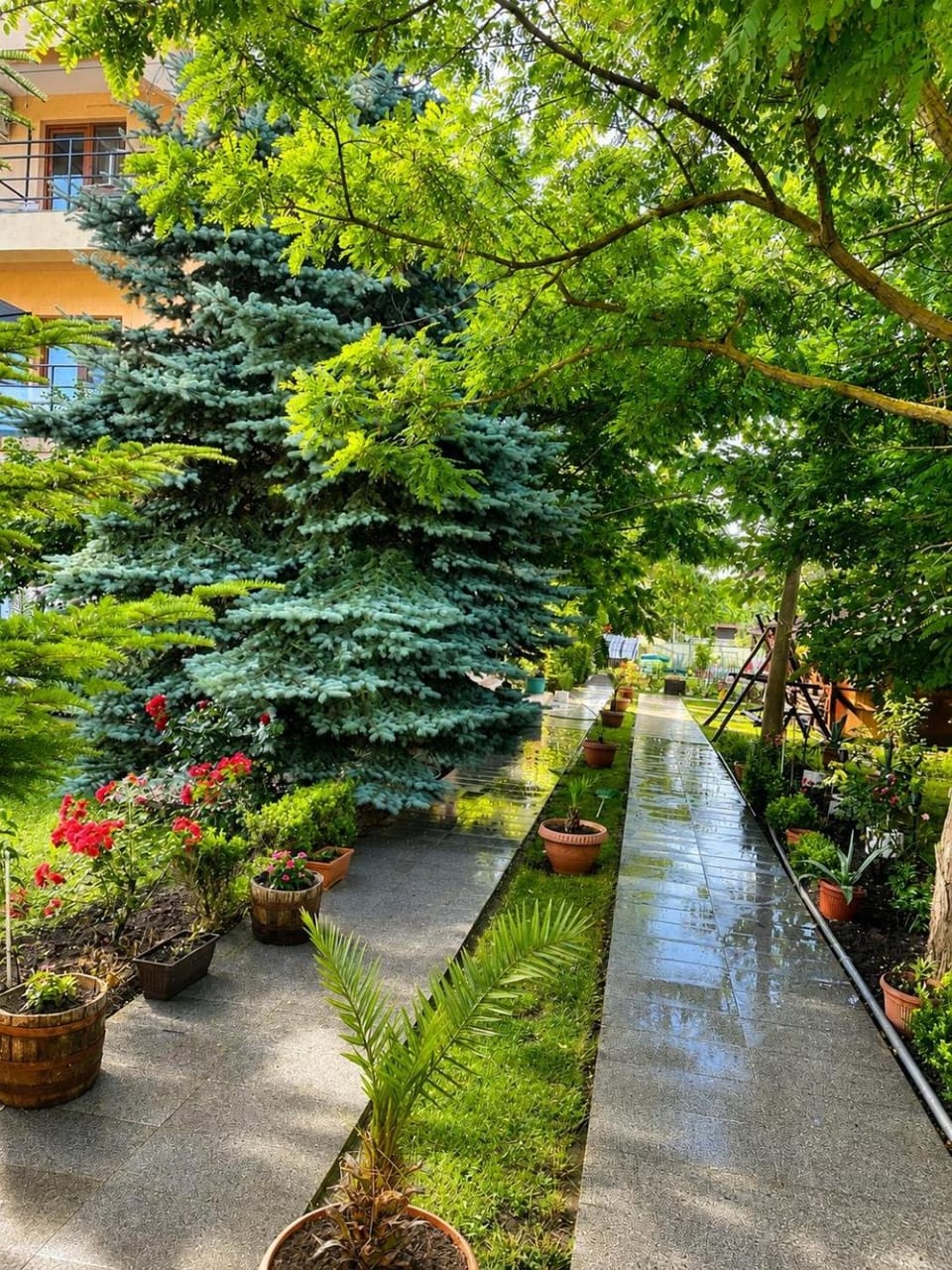 Casa Yva Black Sea Bed and Breakfast in Dobrich Province, Bulgaria