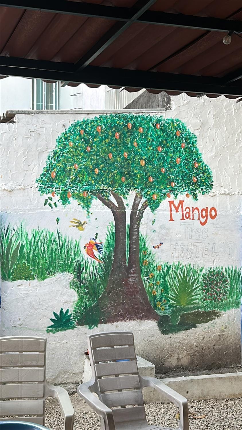 Mango Tree Hostel CTG 420 Hostel in Cartagena