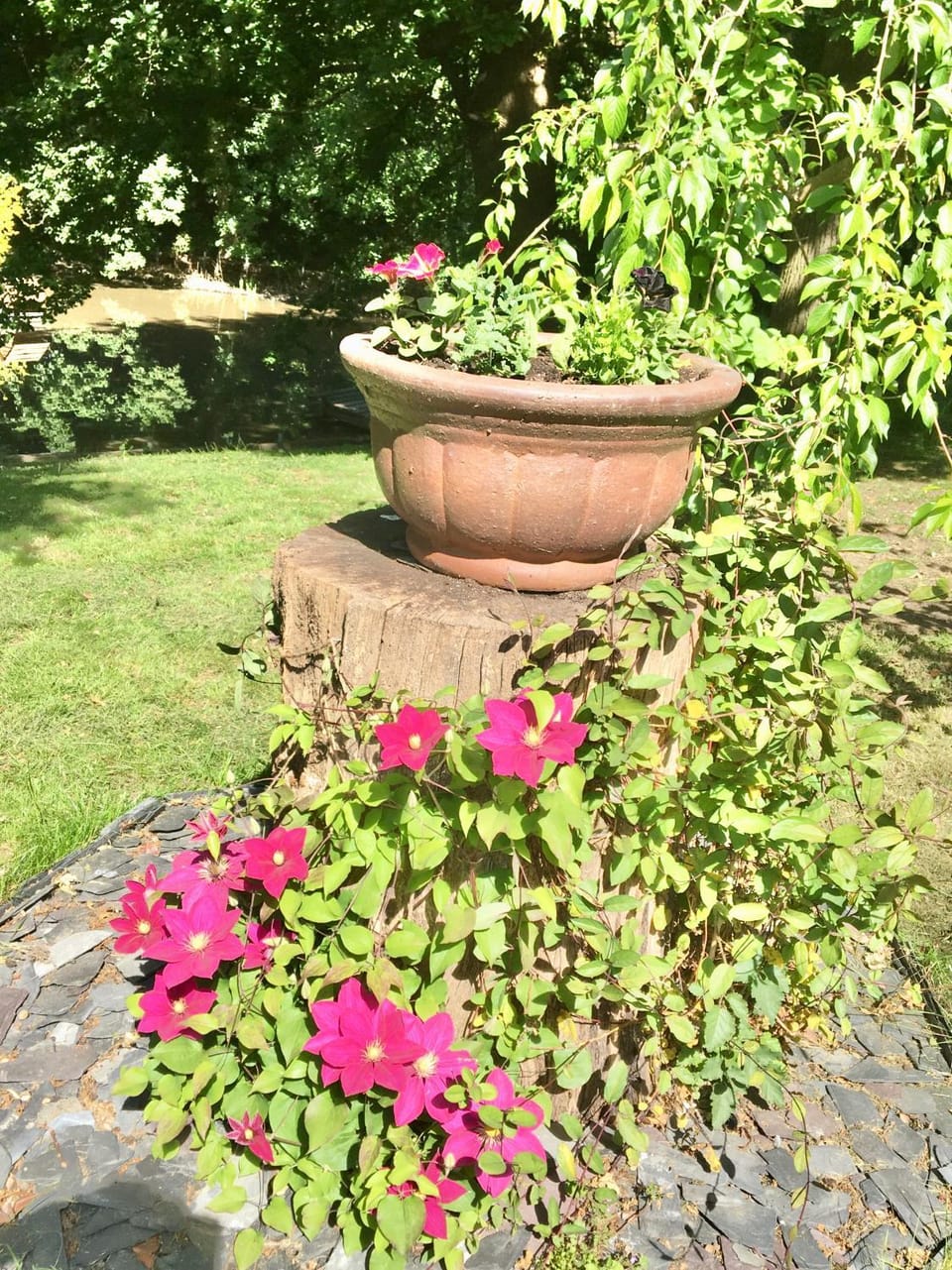 Garden