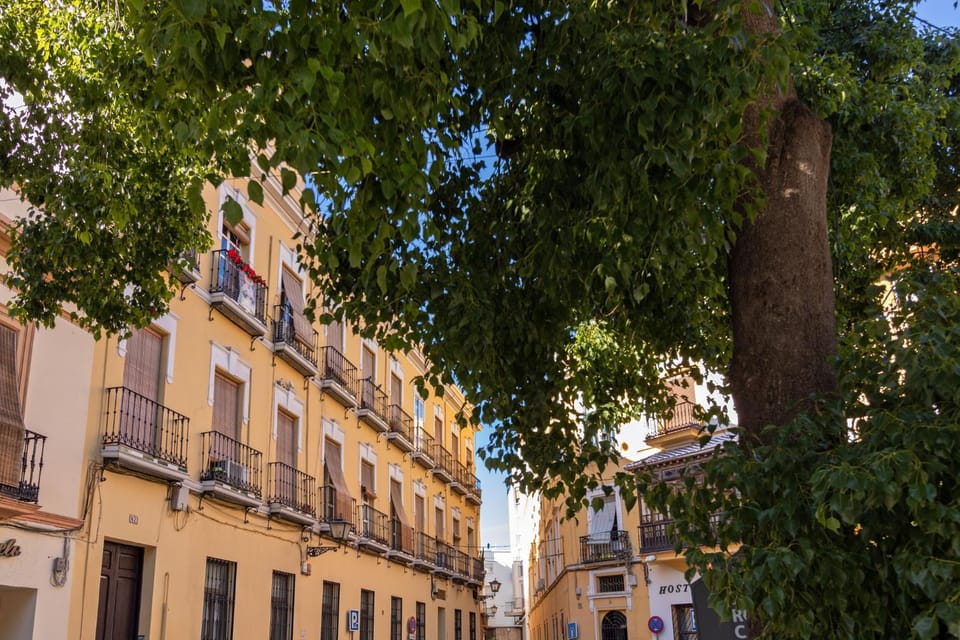 Nine O Clock San Agustin Suites Apartment in Seville