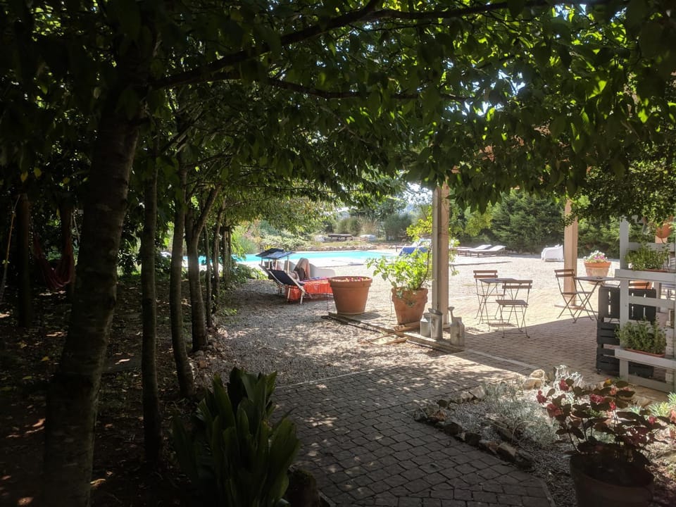 Garden view