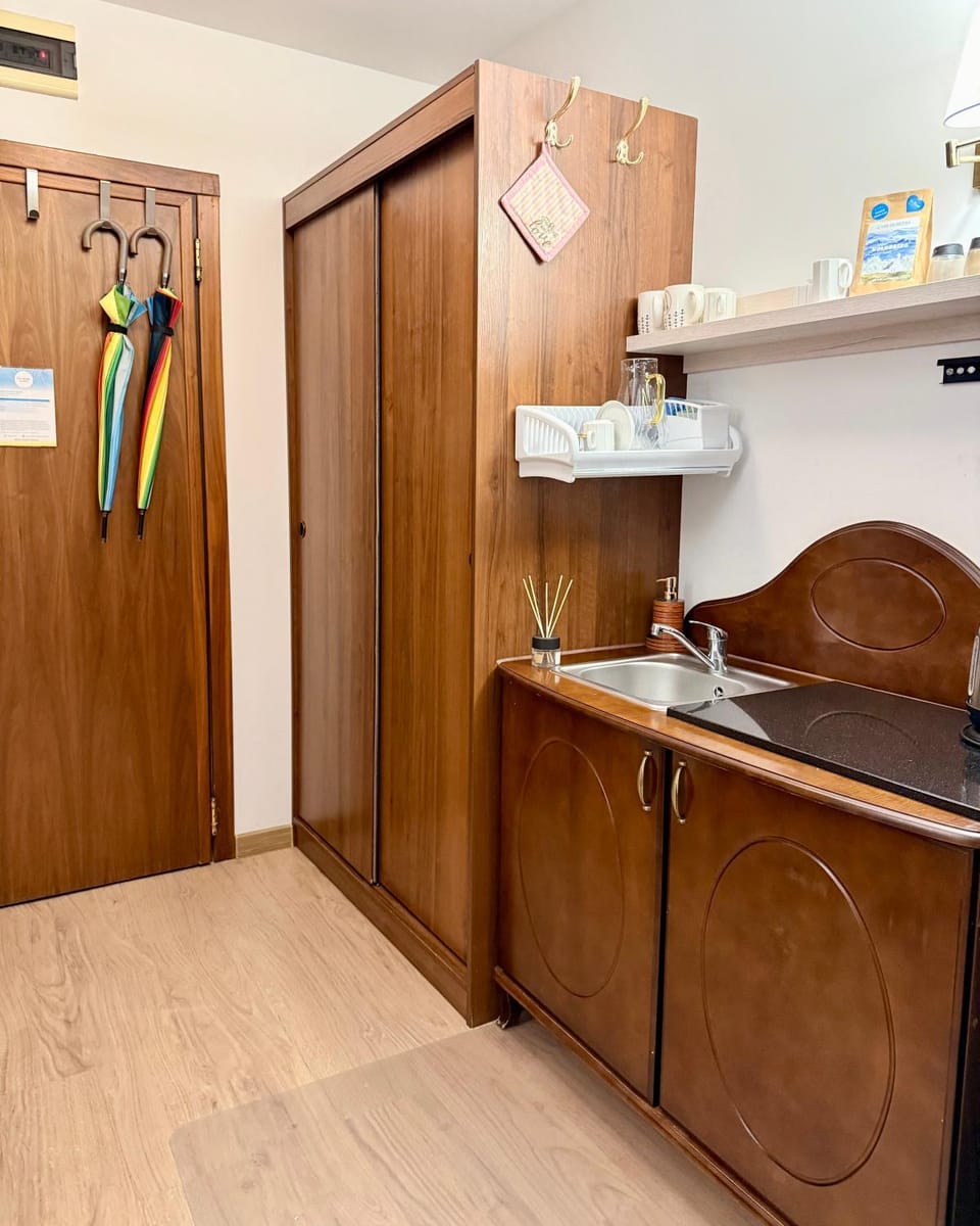 Kitchen or kitchenette, oven, stove, wardrobe