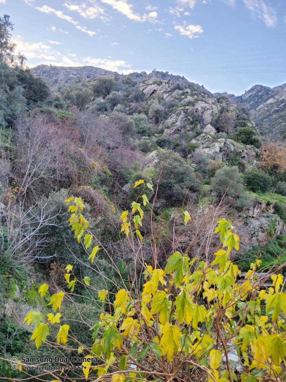 View (from property/room)