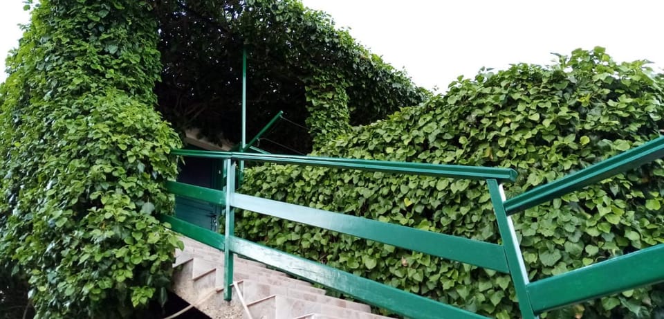 Green Oasis Apartment in Bol