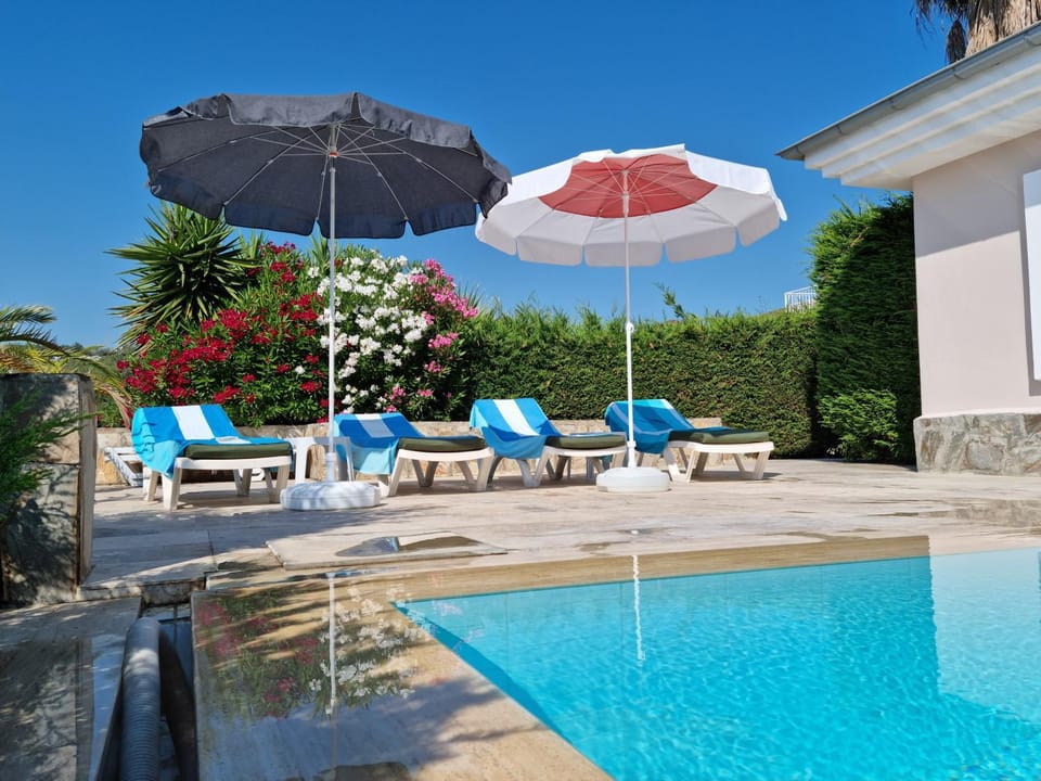 Garden, Garden view, Pool view, Swimming pool, sunbed