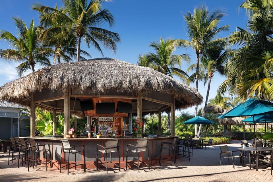 Lounge or bar