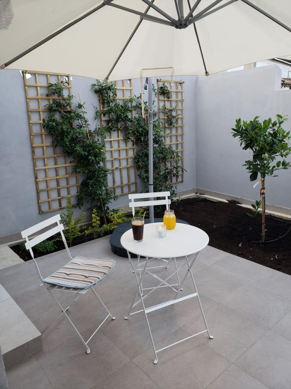 Patio, Drinks