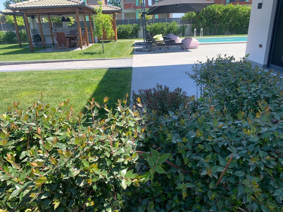 Property building, Natural landscape, Garden, Garden view, Swimming pool