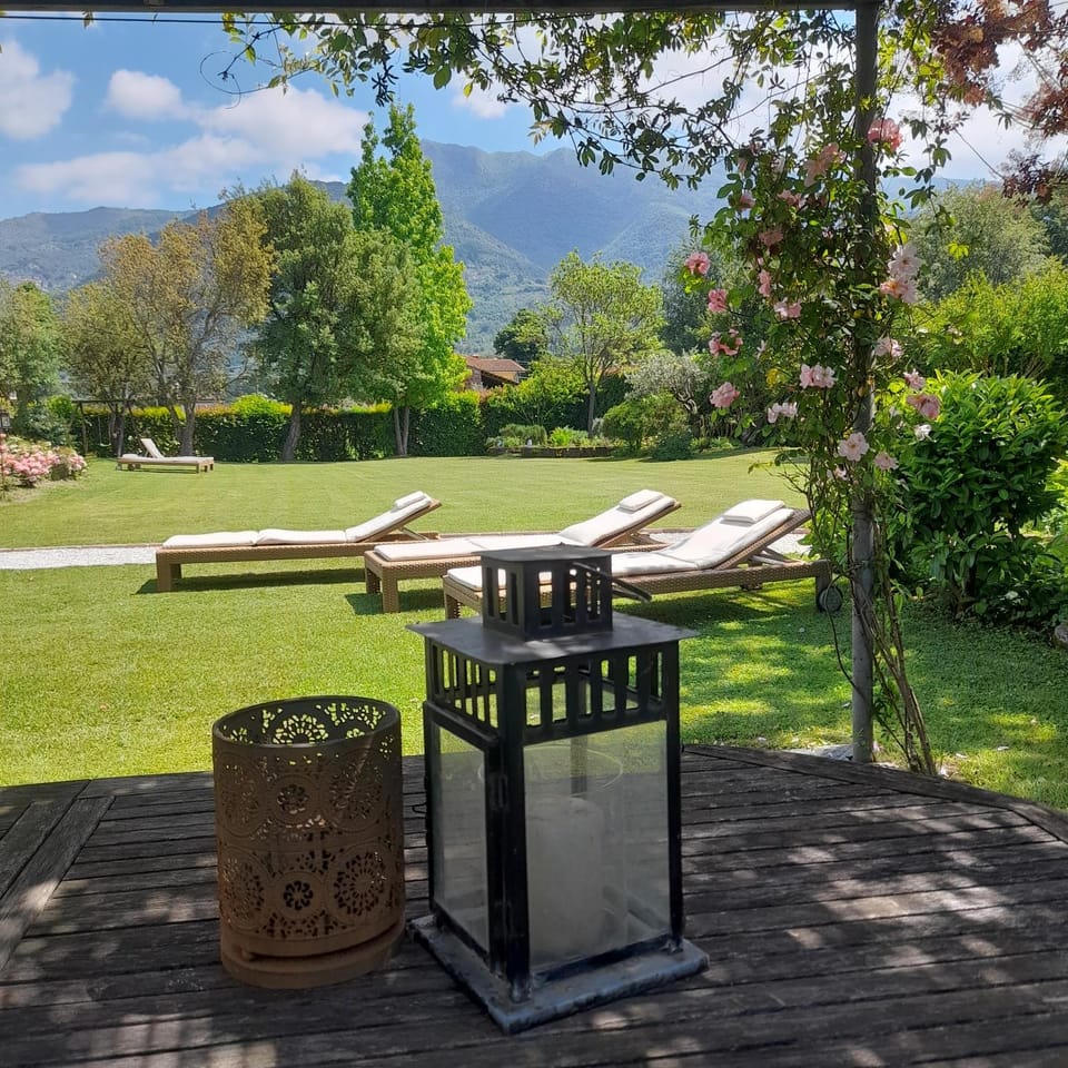 Garden view