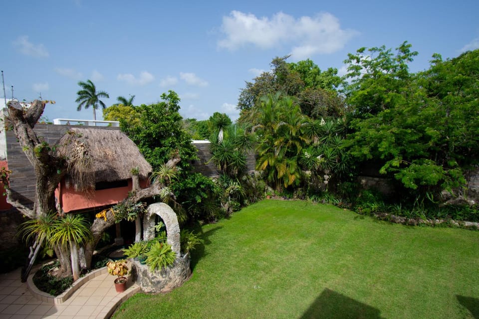 Garden view