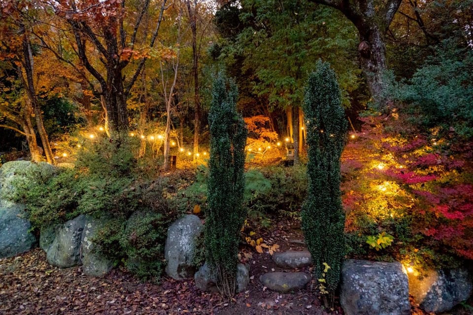 Garden, Garden view