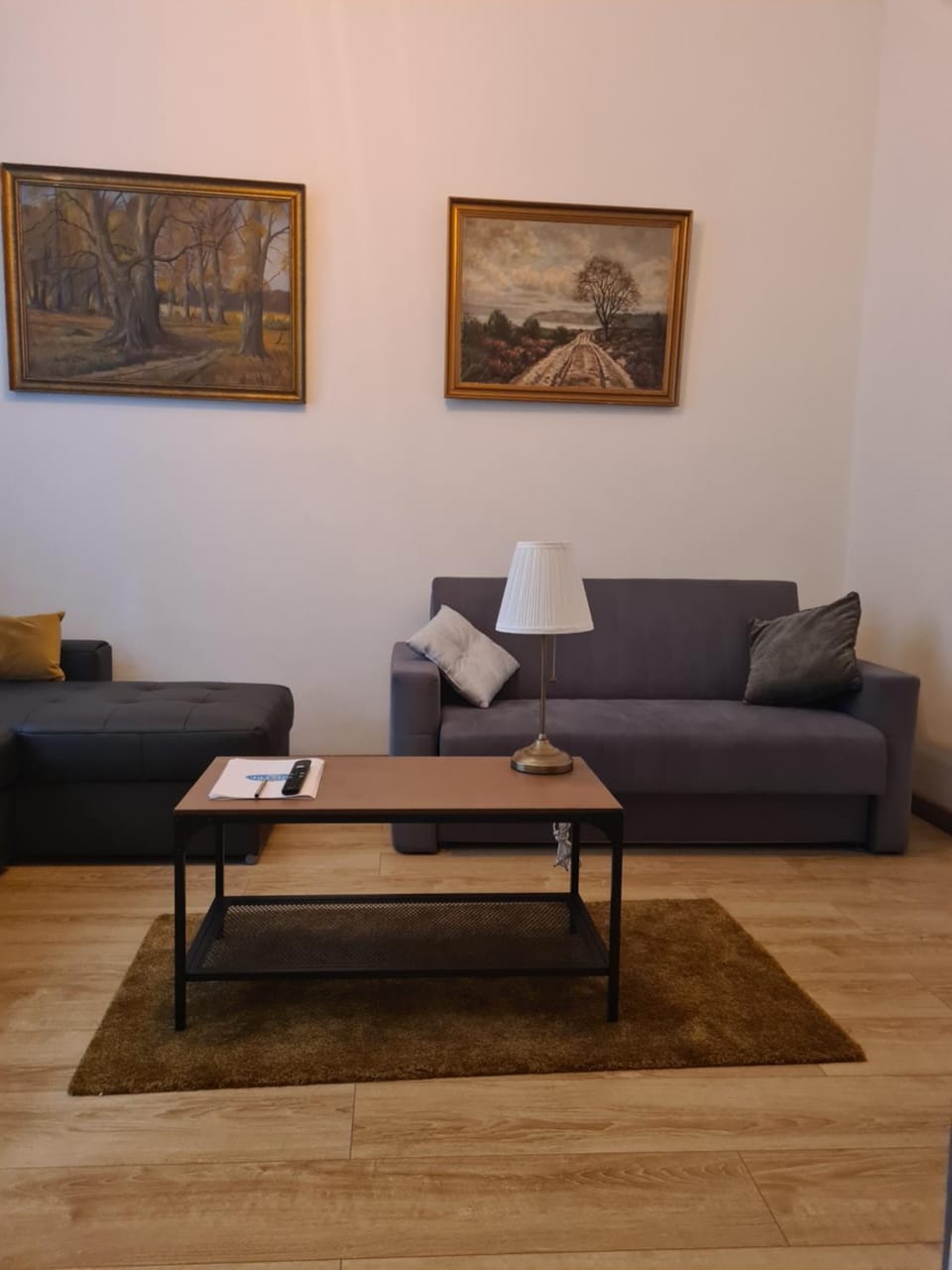 Photo of the whole room