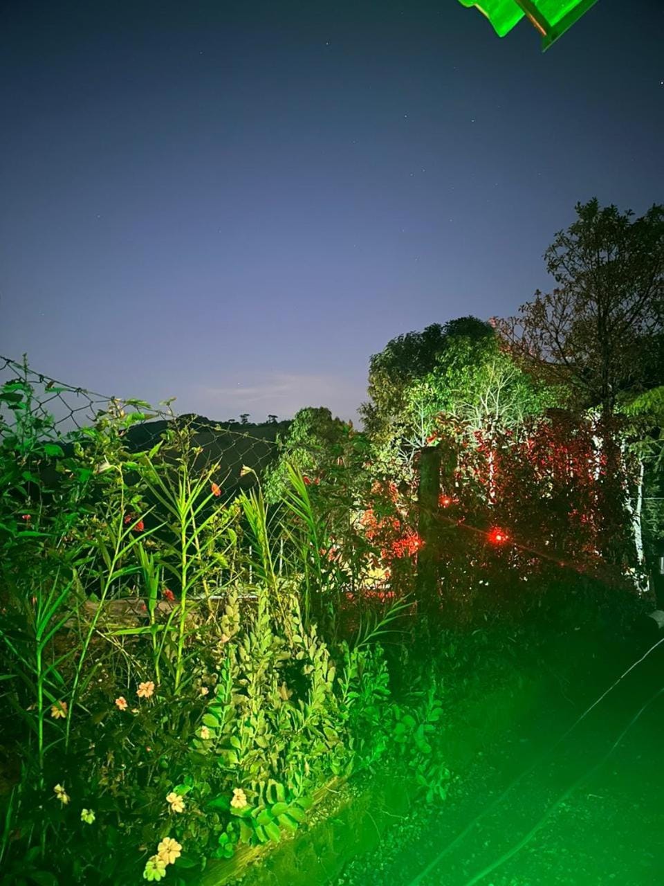 Night, Garden view