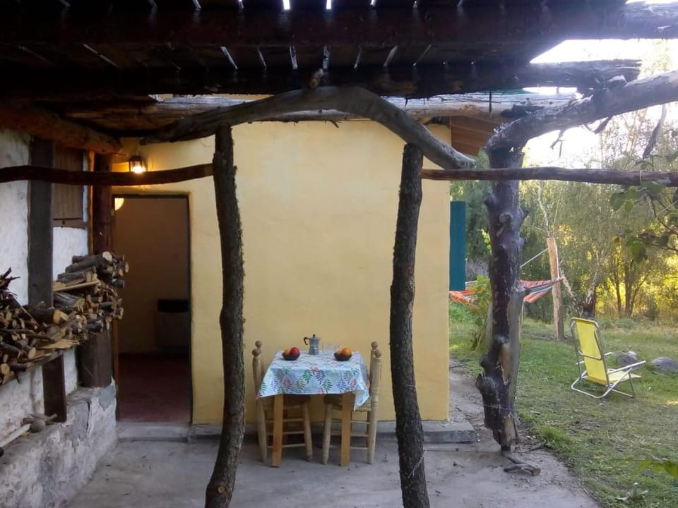 Patio, Garden