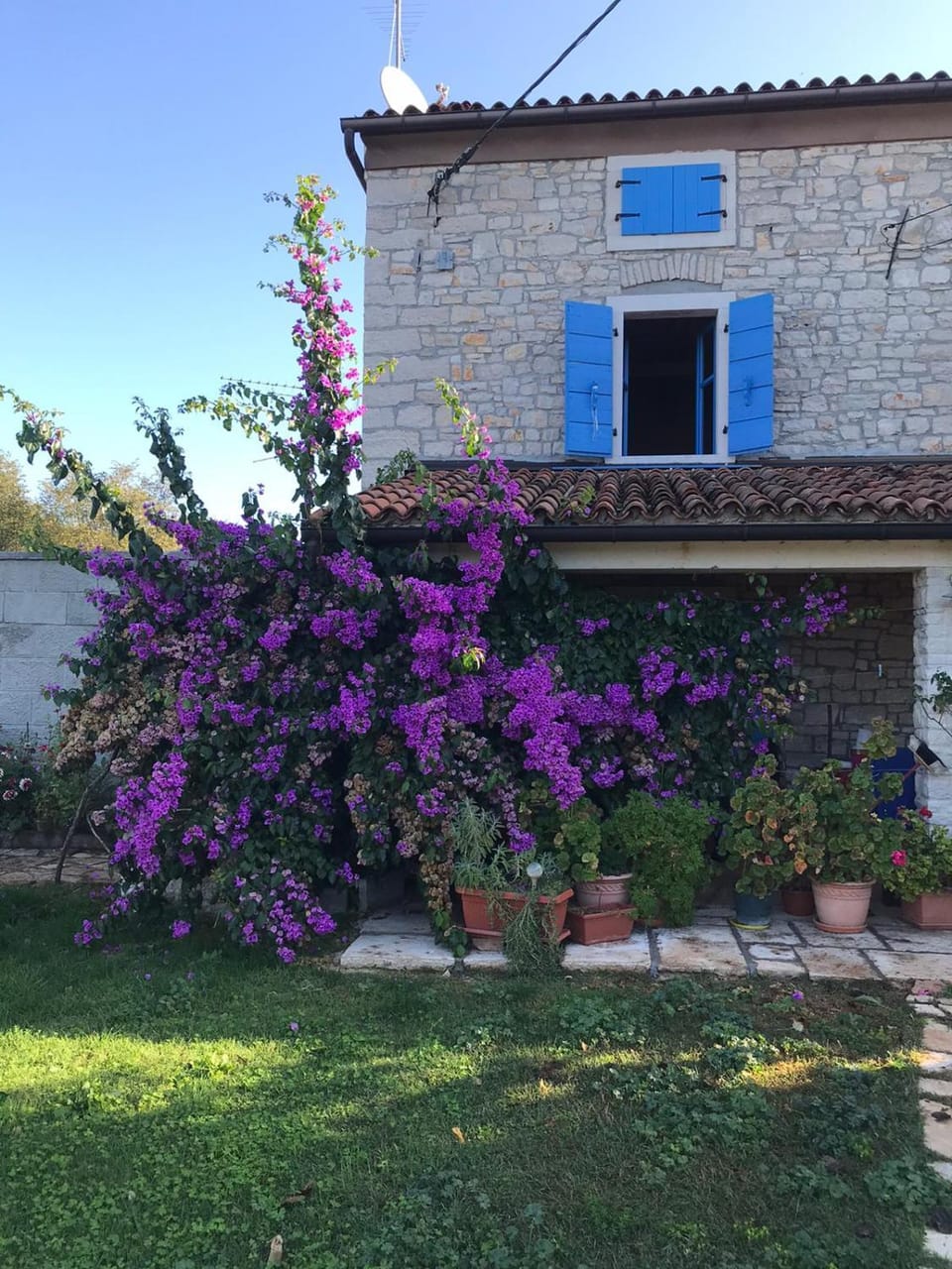 Property building, Garden