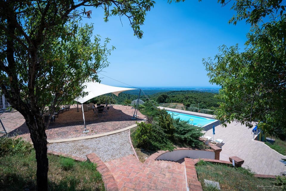 Garden view, Pool view, sunbed