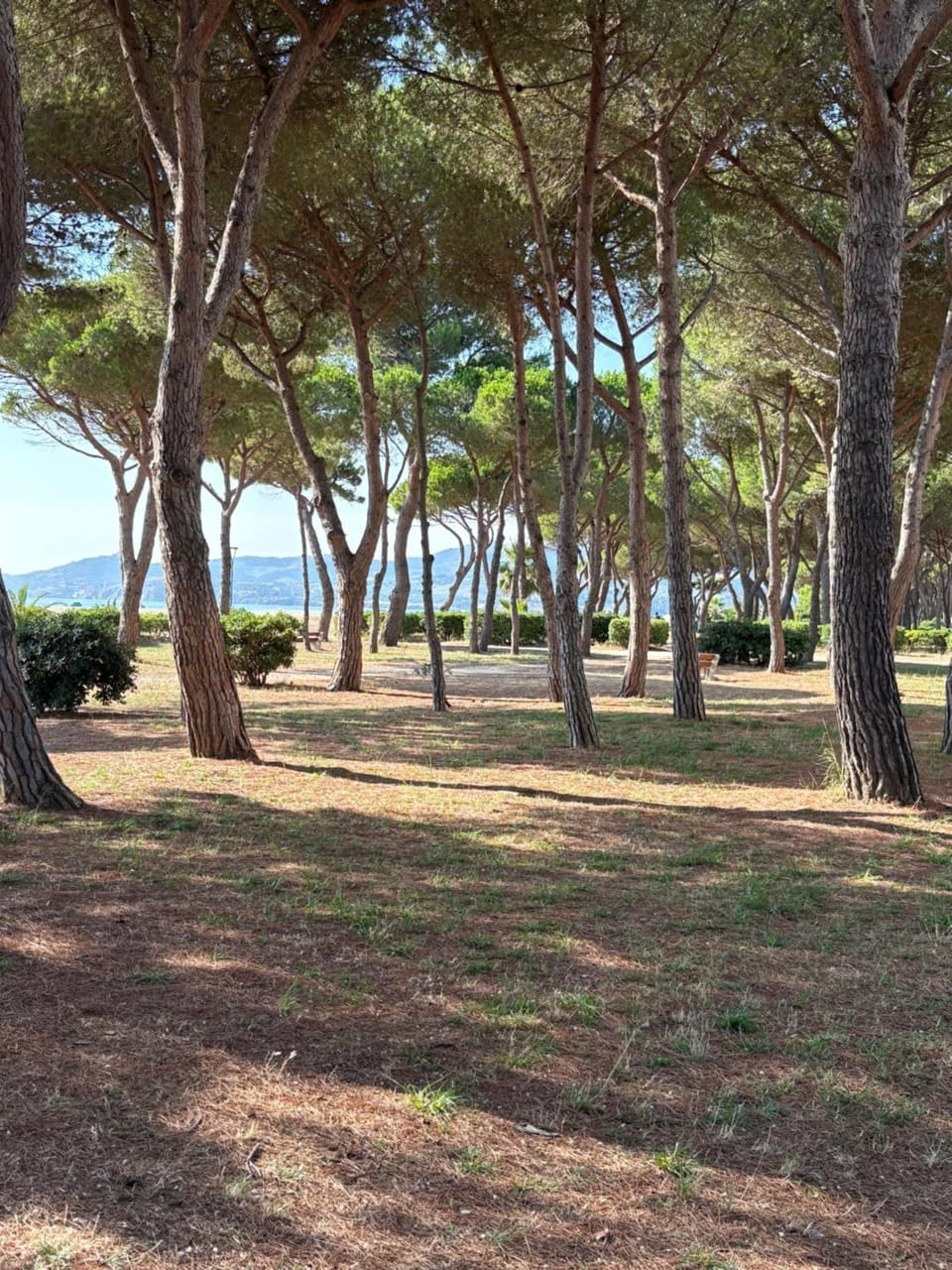 Mer Soleil Pinede Apartment in Argeles-sur-Mer