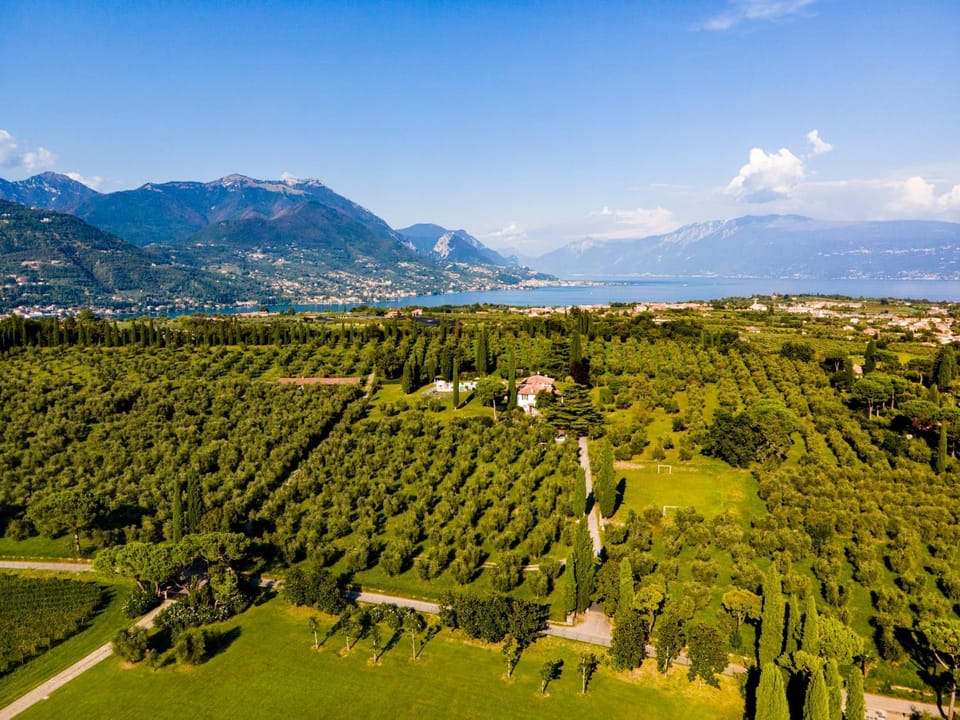 Property building, Natural landscape, Bird's eye view, Garden, Lake view, Mountain view