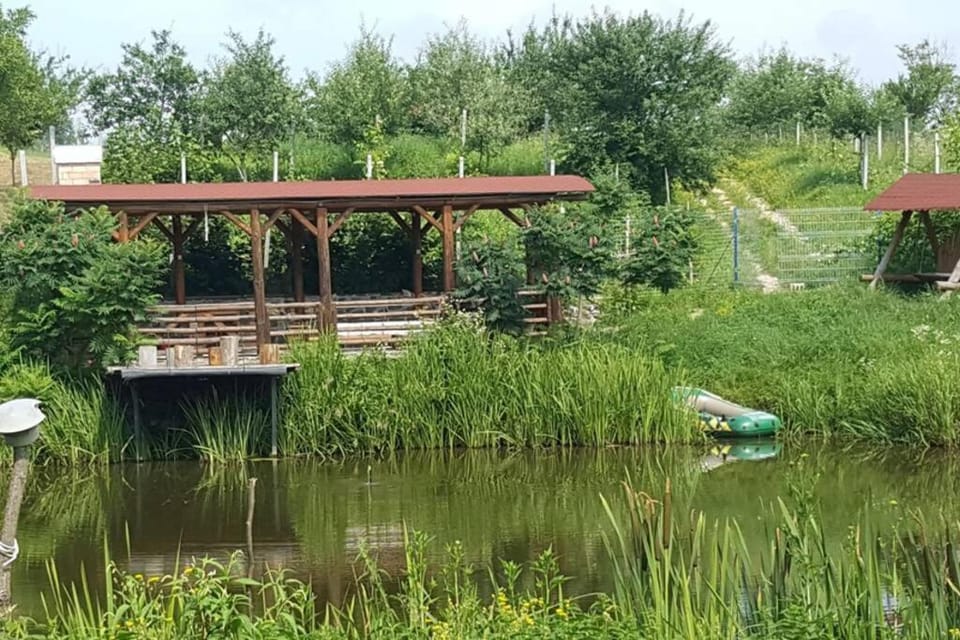 Natural landscape, Garden