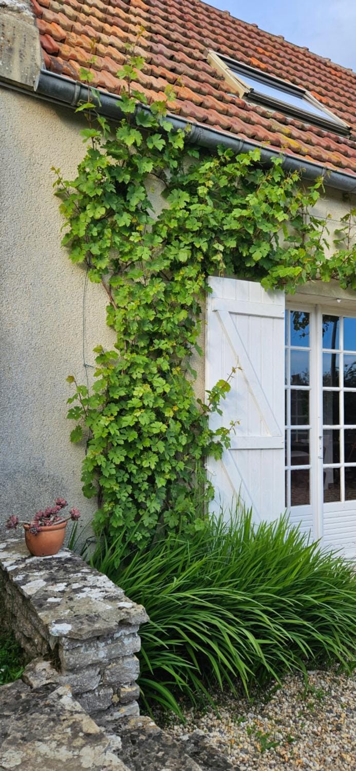 La petite chouette House in Normandy