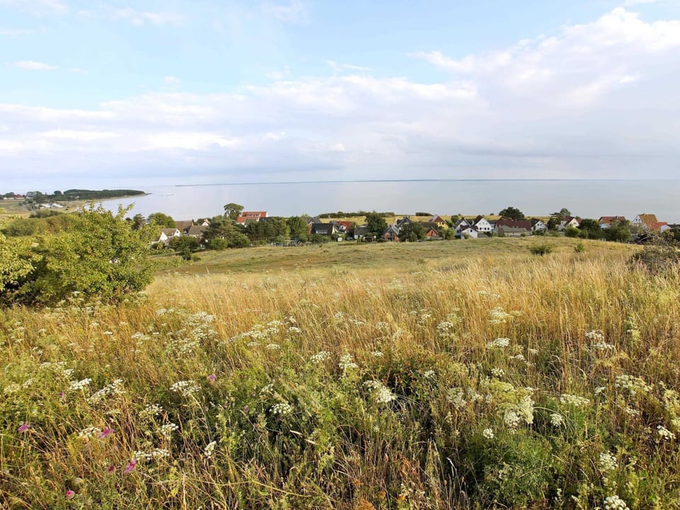 Neighbourhood, Hiking, Area and facilities