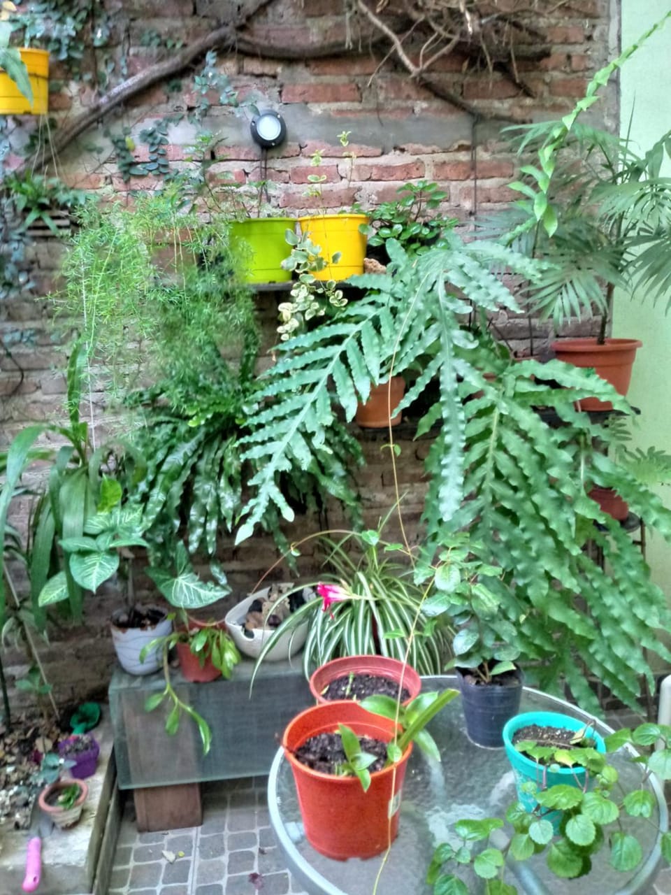 Inner courtyard view